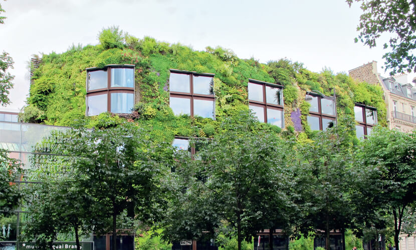 Novomlýnská - rostliny